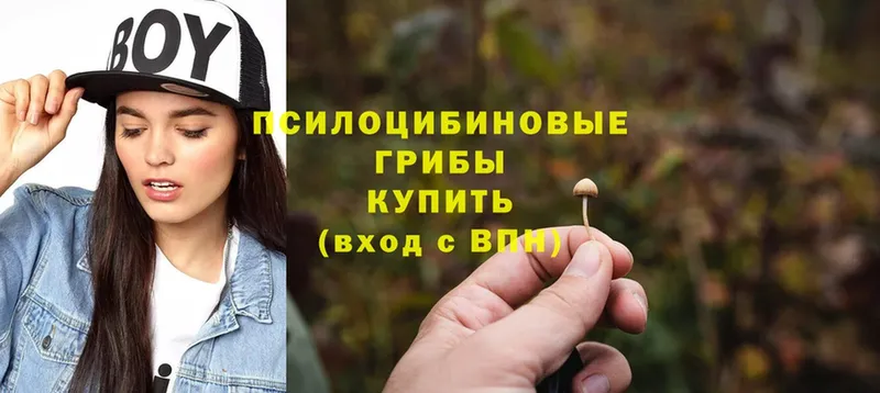 Псилоцибиновые грибы мицелий  omg ссылка  Сенгилей 